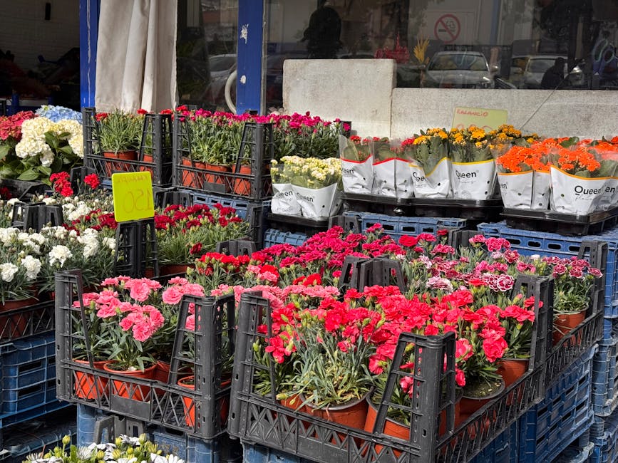 A large outdoor display of potted flowers featuring bright pink, red, orange, yellow, white, and blue blooms arranged in black plastic crates and white paper wraps. The flowers include carnations, chr
