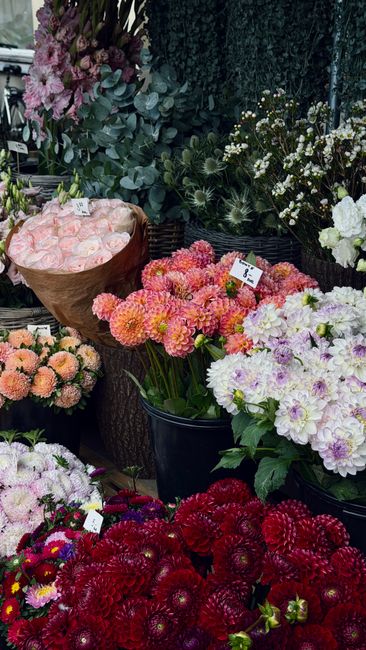 A vibrant display of fresh flowers at a florist shop, featuring a variety of floral arrangements in different colours and styles. In the foreground, there are deep red dahlias with tightly packed peta